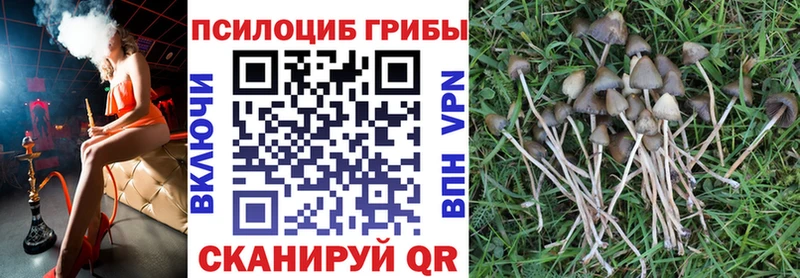 MEGA сайт  Макушино  Галлюциногенные грибы ЛСД 